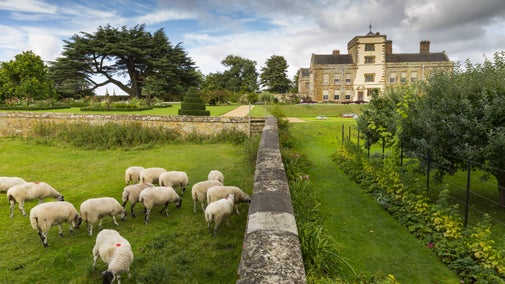 Sheep grazing on the estate at Canons Ashby, Northamptonshire